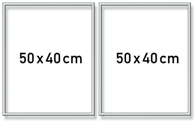 Zilverkl. aluminium lijst tweeluik 50x80 cm (2x 40x50)