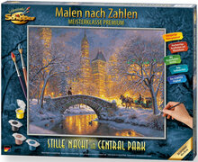 Stille nacht in Central Park - Schipper 40 x 50 cm