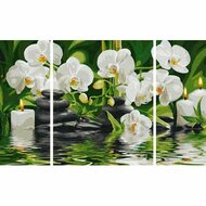 Witte Orchidee&euml;n - Schipper Drieluik 50 x 80 cm